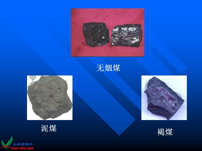 （首师大版）三年级科学下册课件 煤 1.ppt_第3页