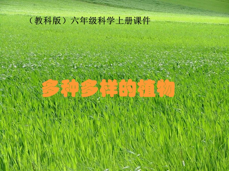 （教科版）六年级科学上册课件 多种多样的植物 1.ppt_第1页