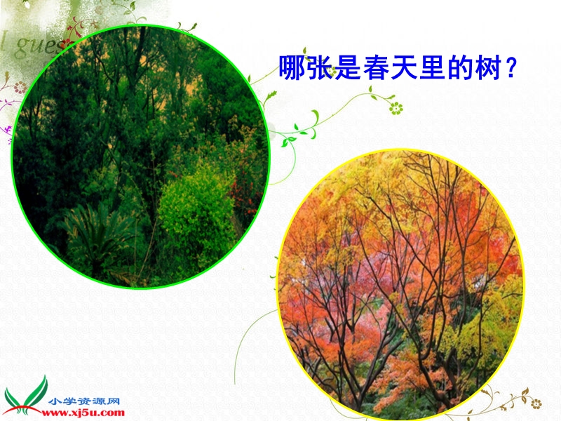 （教科版）三年级科学上册课件 植物发生了什么变化.ppt_第3页