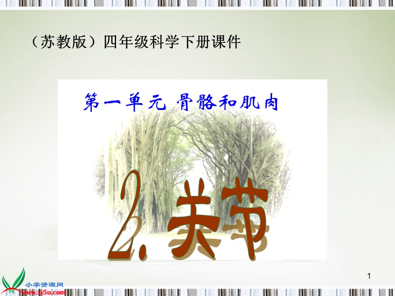 （苏教版）四年级科学下册课件 关节 1.ppt_第1页