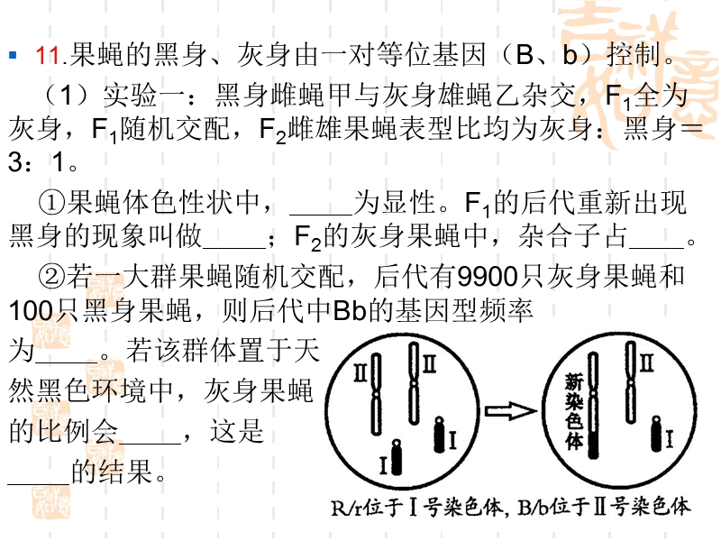 2016年3月6日四川高考生物课件(李双田).ppt_第3页