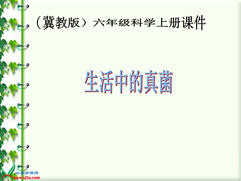 （冀教版）六年级科学上册课件 生活中的真菌 1.ppt_第1页