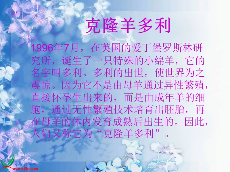 （首师大版）六年级科学下册课件 克隆技术 2.ppt_第2页