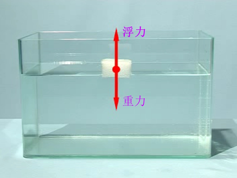 （教科版）五年级科学下册课件 浮力 1.ppt_第3页