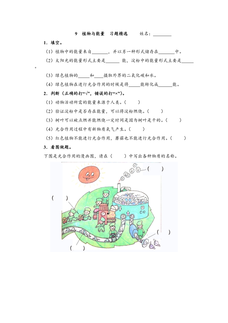 （冀教版）六年级科学上册练习 植物与能量.doc_第1页