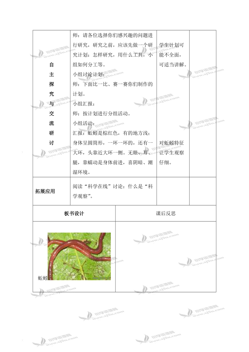 （冀教版）三年级科学上册教案 蚯蚓.doc_第2页