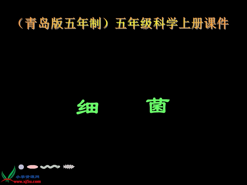 （青岛版五年制）五年级科学上册课件 细菌 3.ppt_第1页