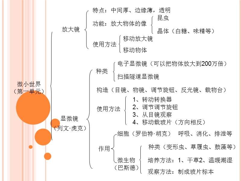 （人教版）小学六年级下册科学概念结构图.ppt_第2页