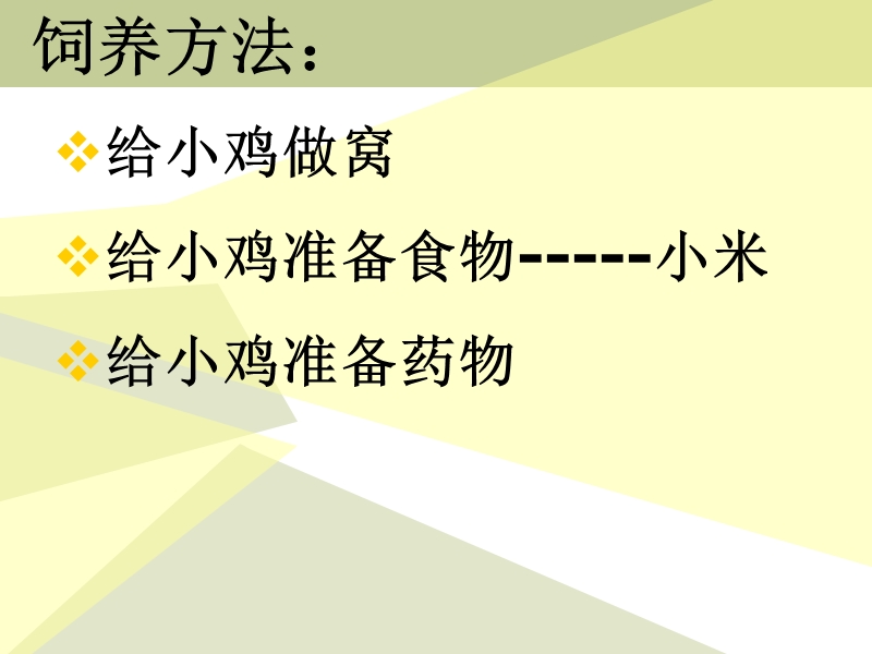 （冀教版）四年级科学下册课件 养小鸡 2.ppt_第2页