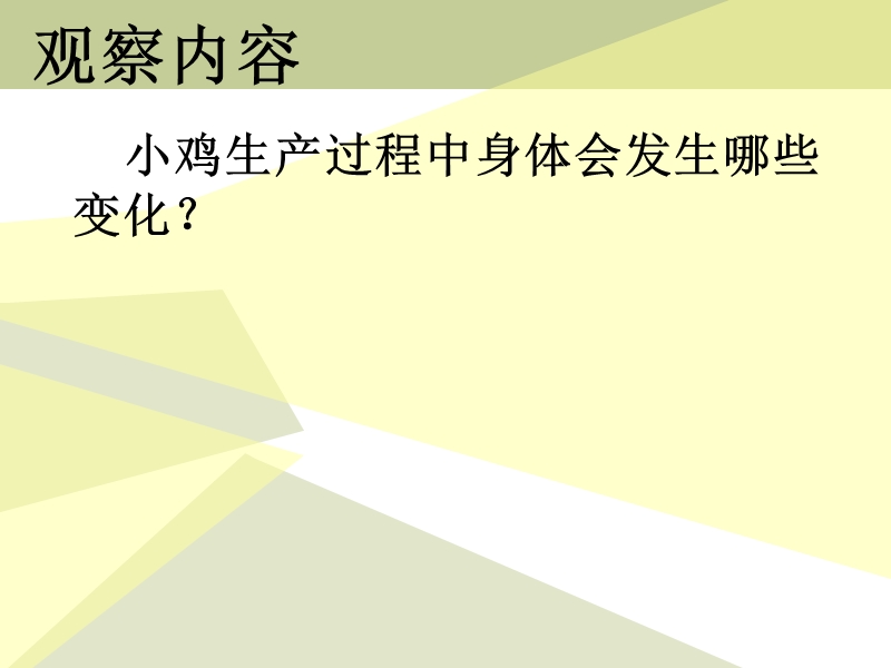 （冀教版）四年级科学下册课件 养小鸡 2.ppt_第3页