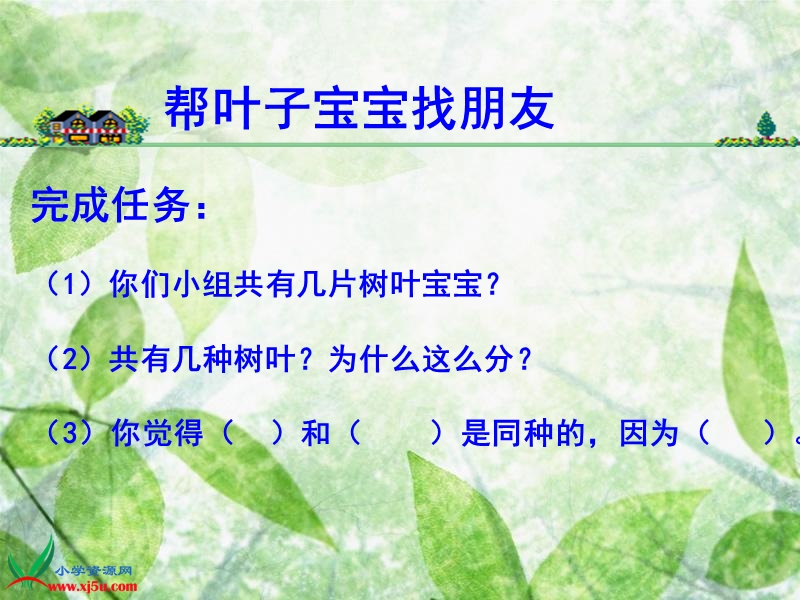 一5植物的叶周耀1.ppt_第3页