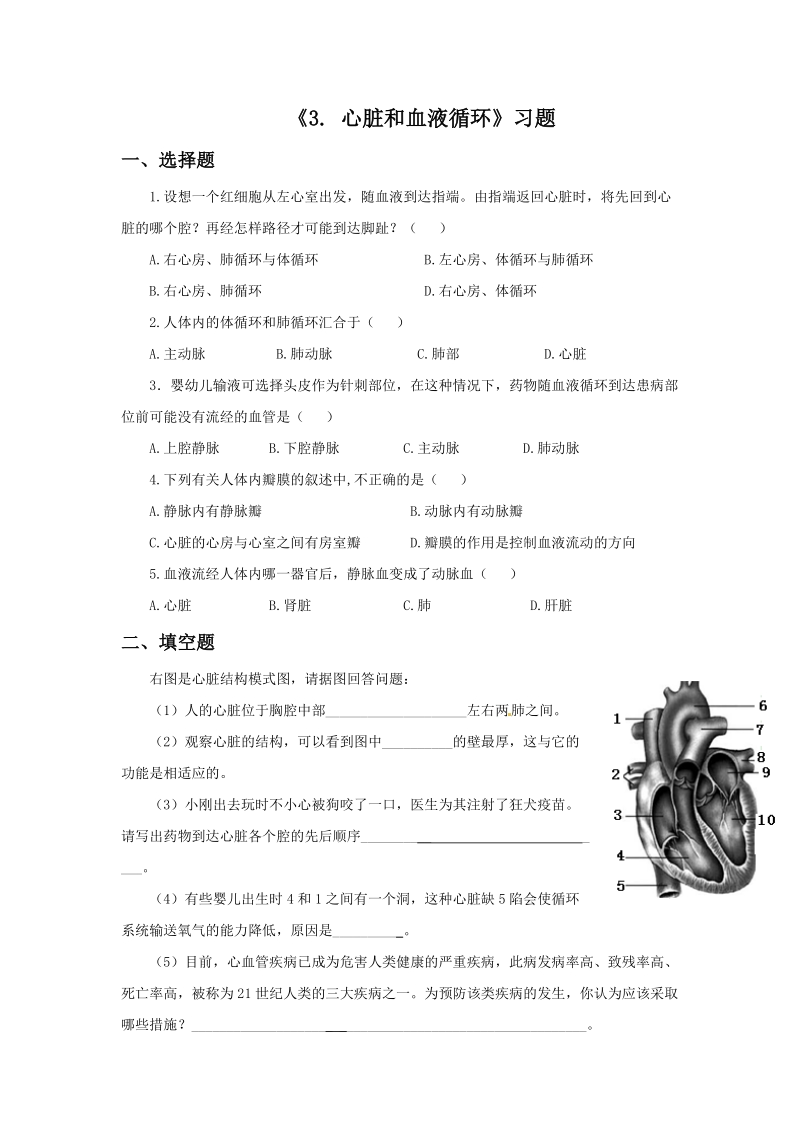 五年级上科学一课一练《3.+心脏和血液循环》习题1苏教版（三起）.doc_第1页