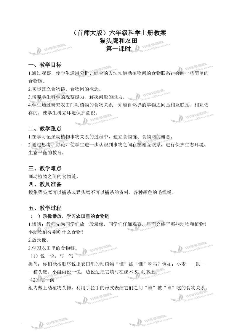 （首师大版）六年级科学上册教案 猫头鹰和农田 1.doc_第1页