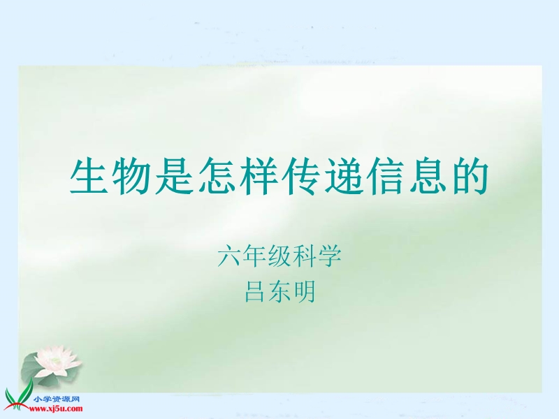 生物是怎样传递信.ppt_第2页