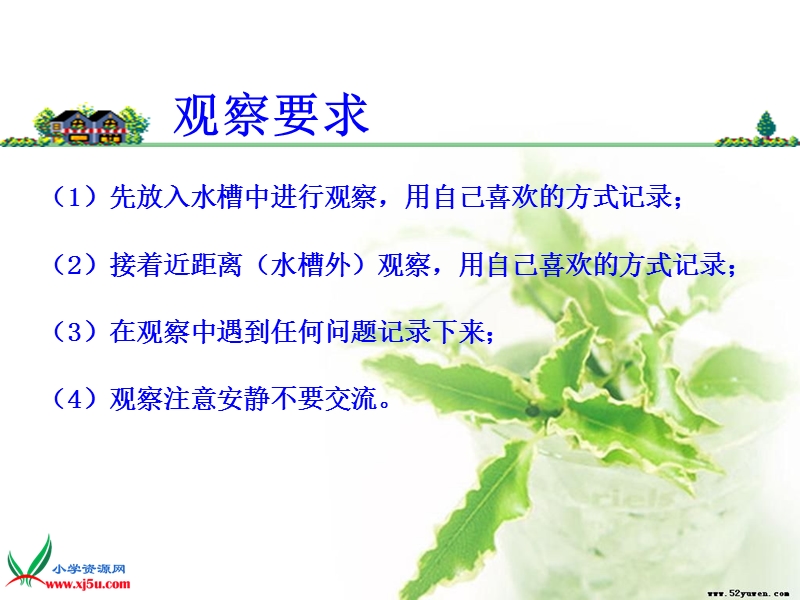 一4观察水生植物周耀.ppt_第3页