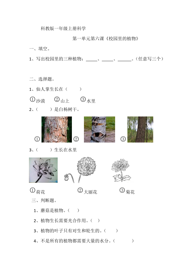 一年级上科学一课一练科教版一年级科学上册1.6《校园里的植物》课课练教科版（2017秋）.docx_第1页