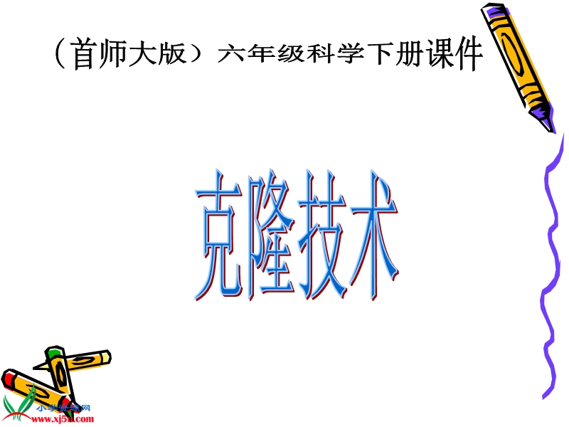 （首师大版）六年级科学下册课件 克隆技术 1.ppt_第1页