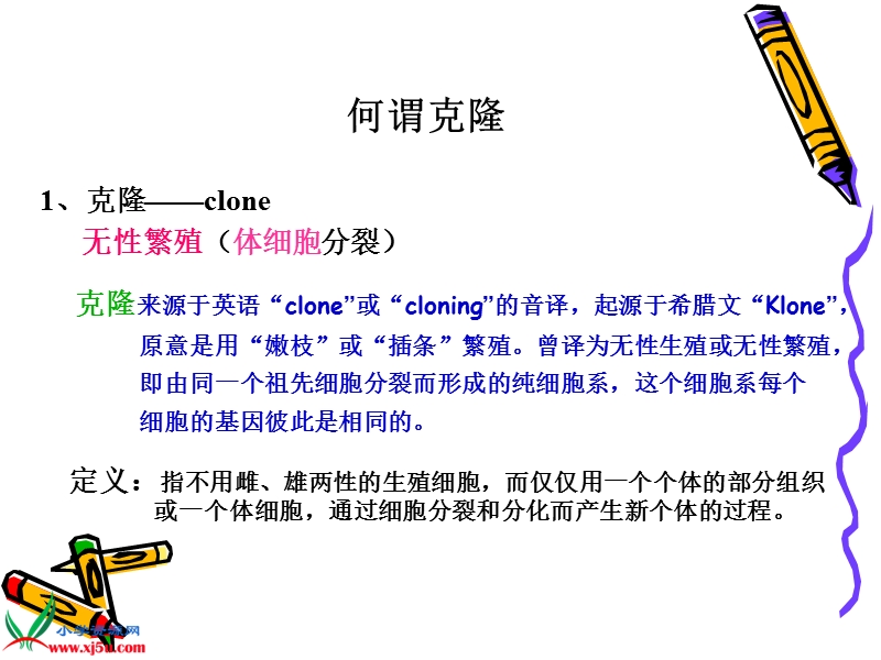 （首师大版）六年级科学下册课件 克隆技术 1.ppt_第2页