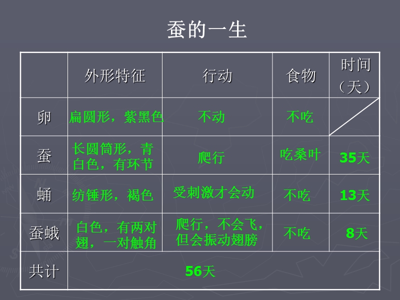 （人教版）三年级自然与科学下册课件 蚕的生命周期 6.ppt_第3页