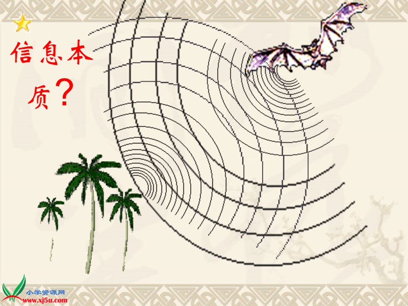 （青岛版）六年级科学下册课件 生物是怎样传递信息的 1.ppt_第2页