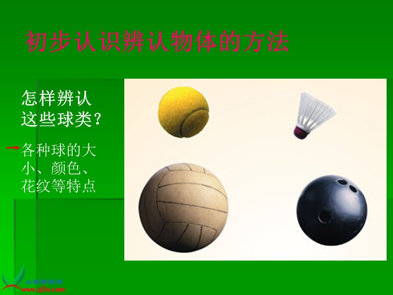 （青岛版五年制）三年级科学上册课件 怎样认识物体 1.ppt_第3页