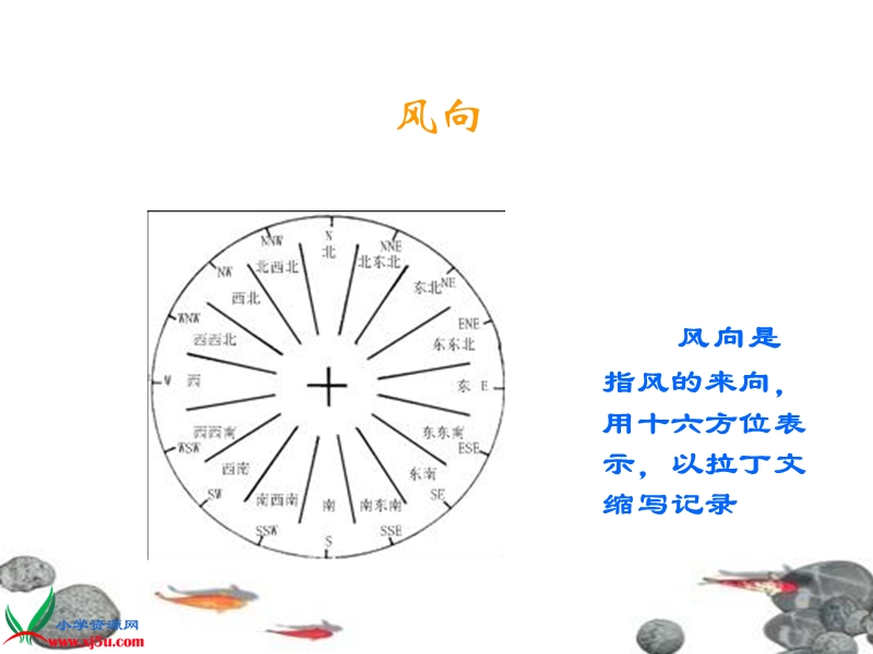 （青岛版五年制）三年级科学上册课件 我的风向标 1.ppt_第3页