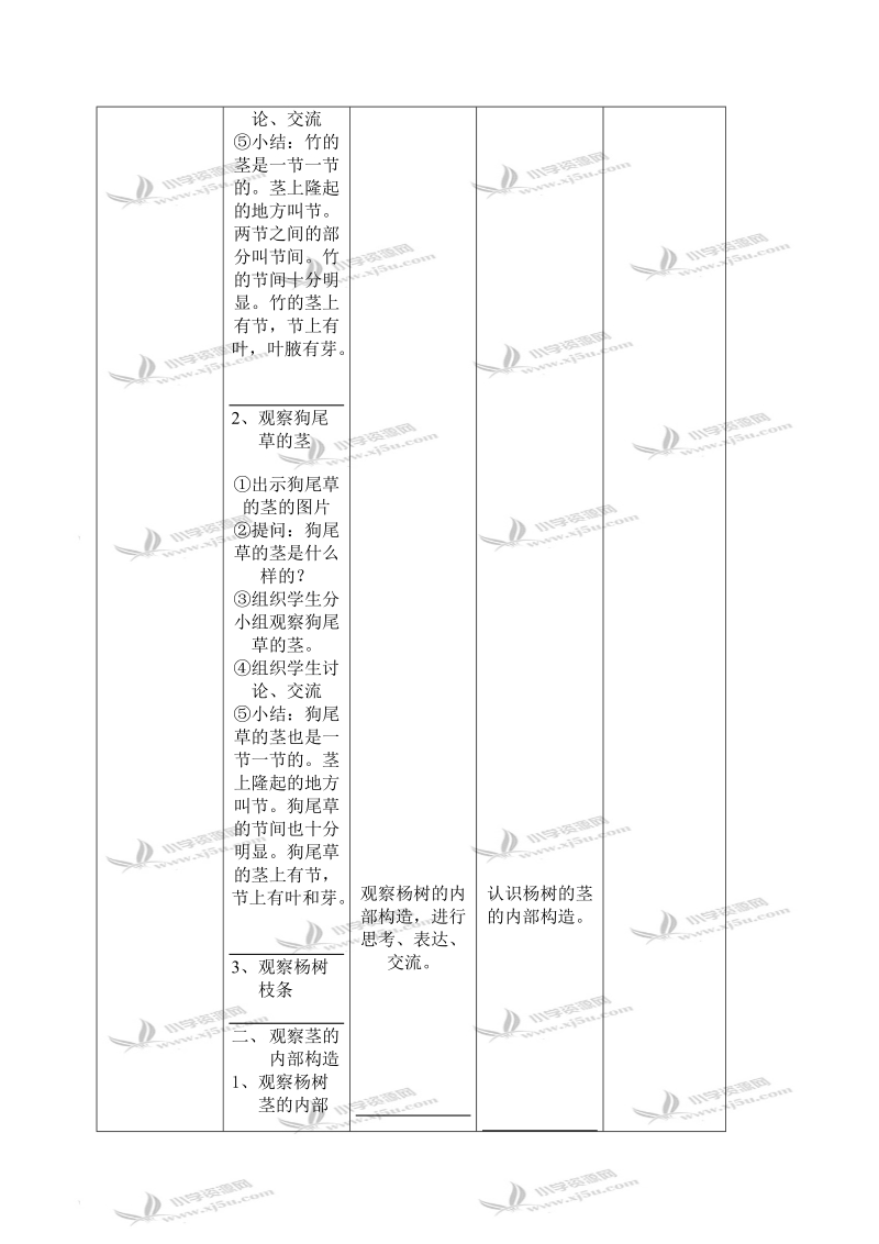 （首师大版）四年级科学上册教案 茎的组成 2.doc_第3页