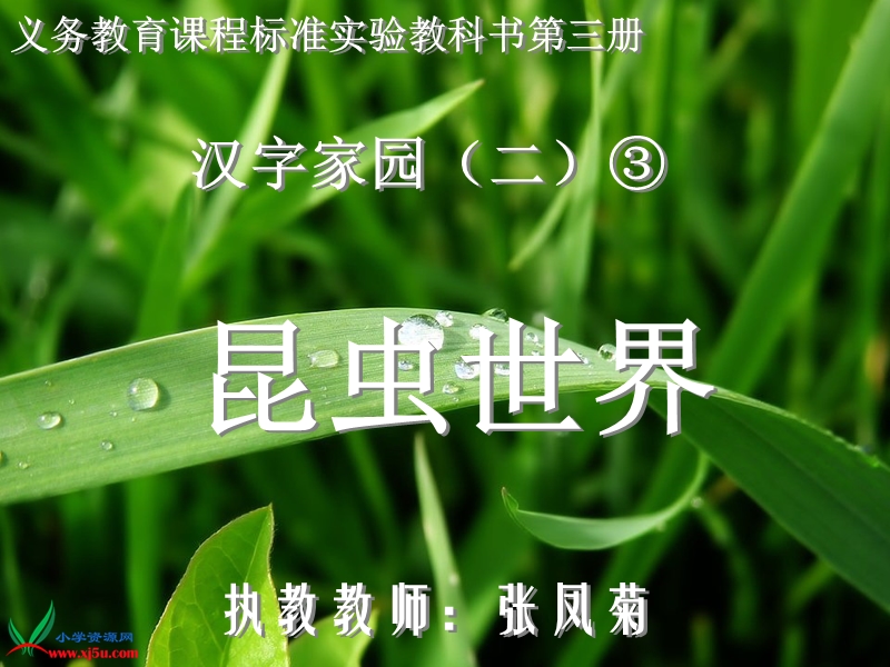 昆虫世界.ppt_第1页