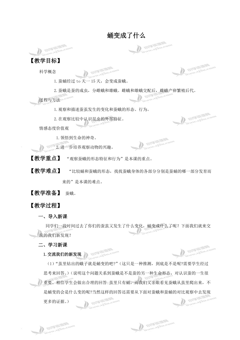 （教科版）三年级科学下册教案 蛹变成了什么.doc_第1页