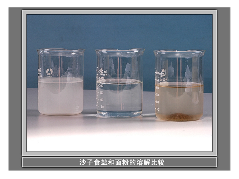 （教科版）四年级科学上册课件 液体之间的溶解现象 3.ppt_第3页