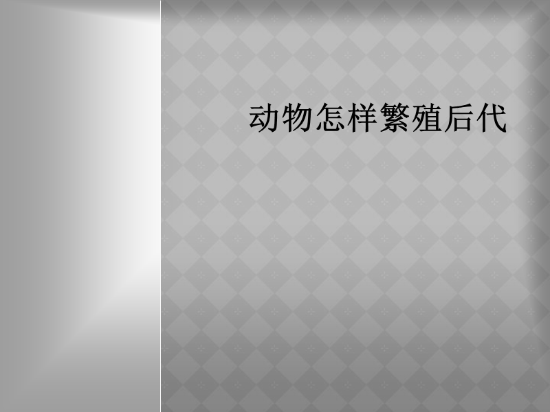 （首师大版）三年级科学下册课件 动物怎样繁殖后代 3.ppt_第1页