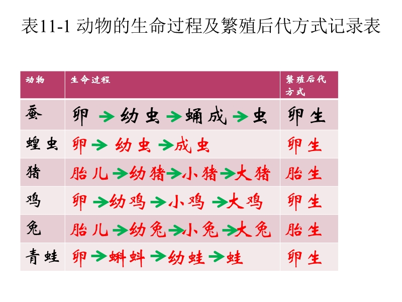 （首师大版）三年级科学下册课件 动物怎样繁殖后代 3.ppt_第2页