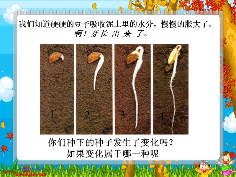 （人教版）三年级自然与科学下册课件 我们先看到了根.ppt_第2页