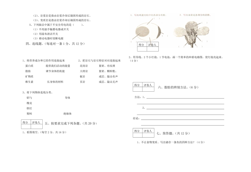 四年级下科学期末试题2018教科版四年级下科学期末考试卷及答案（标准试卷,用8开或a3纸打印）教科版（三起）.doc_第2页