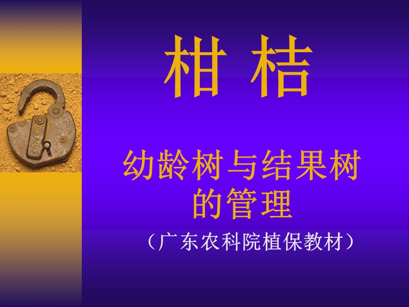 柑桔栽培技术.ppt_第1页