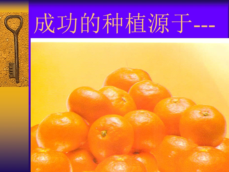 柑桔栽培技术.ppt_第2页