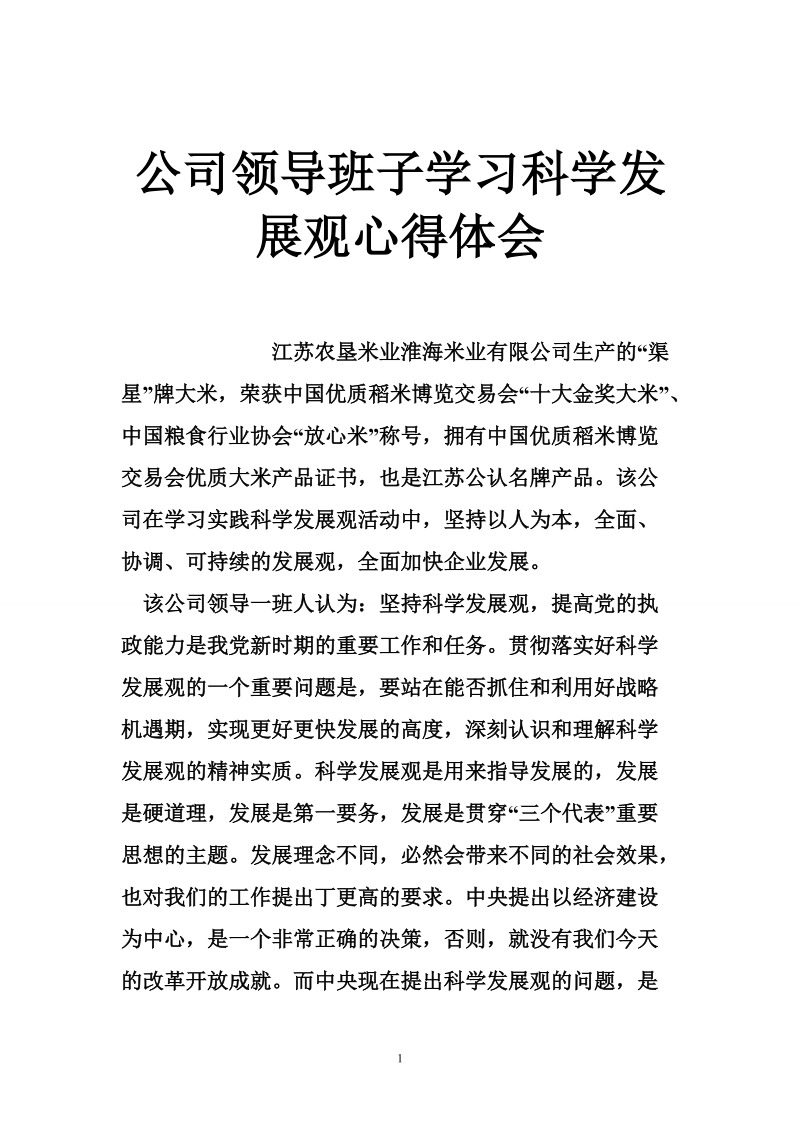 公司领导班子学习科学发展观心得体会.doc_第1页