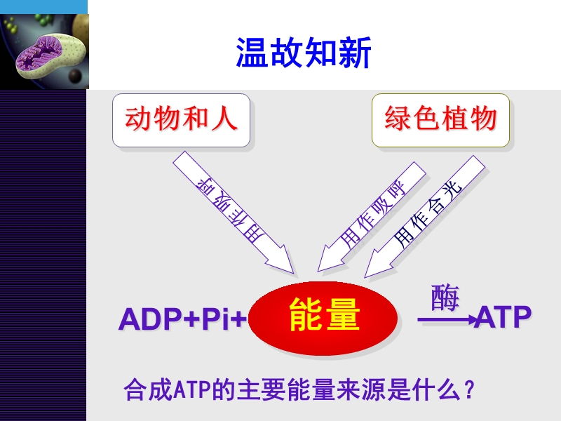 第3节-atp的主要来源.ppt_第1页