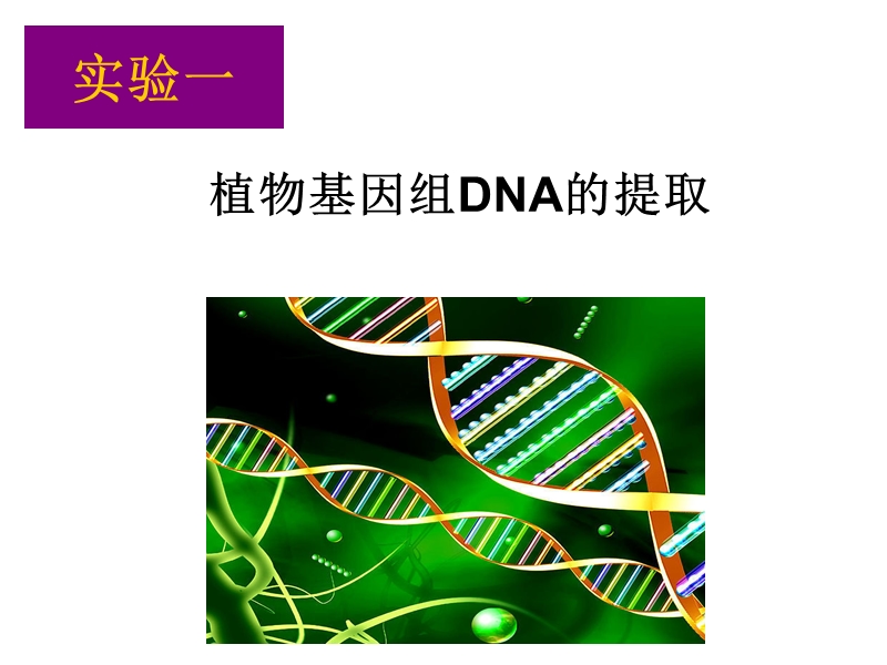 分子生物学实验-化学与生物工程学院-苏州科技学院.ppt_第2页