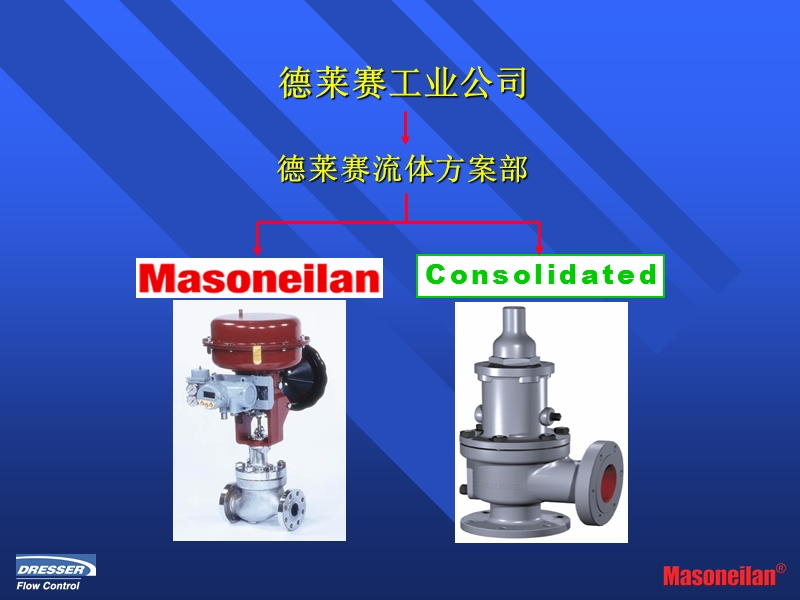 德莱赛梅索尼兰调节阀介绍.ppt_第2页