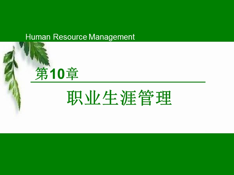 第10章-职业生涯管理.ppt_第1页