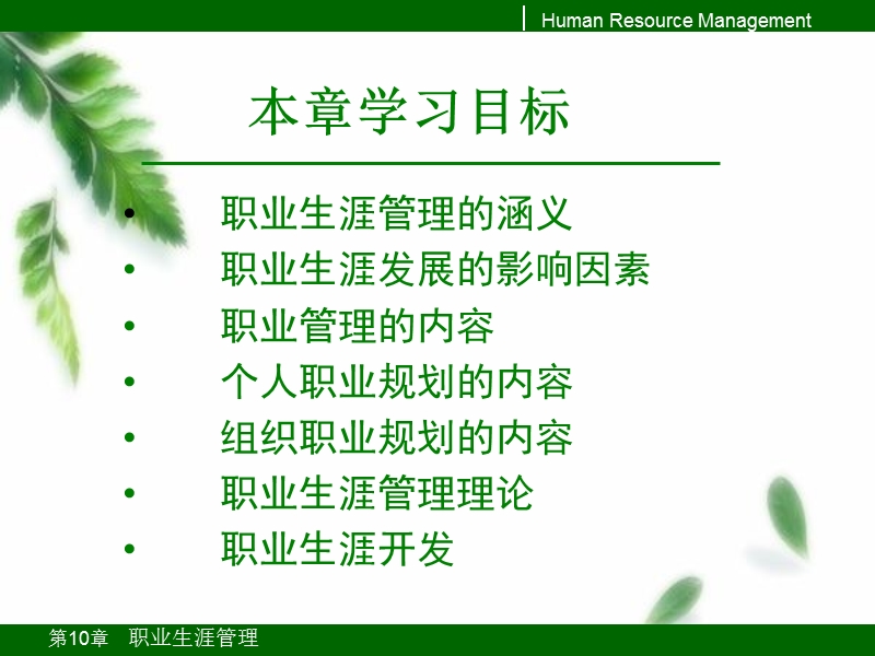 第10章-职业生涯管理.ppt_第2页