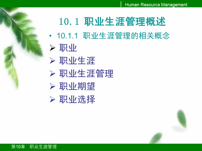 第10章-职业生涯管理.ppt_第3页