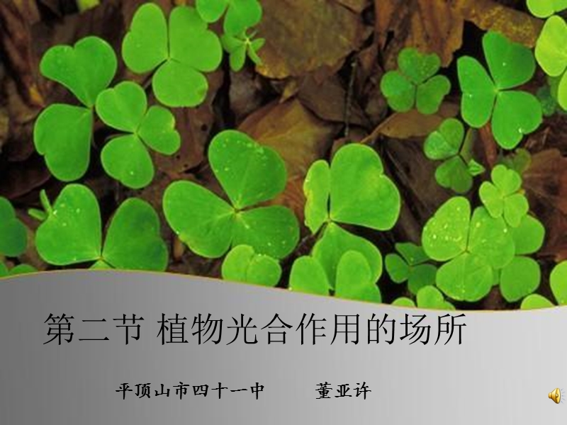 62-植物光合作用的场所课件.ppt_第1页