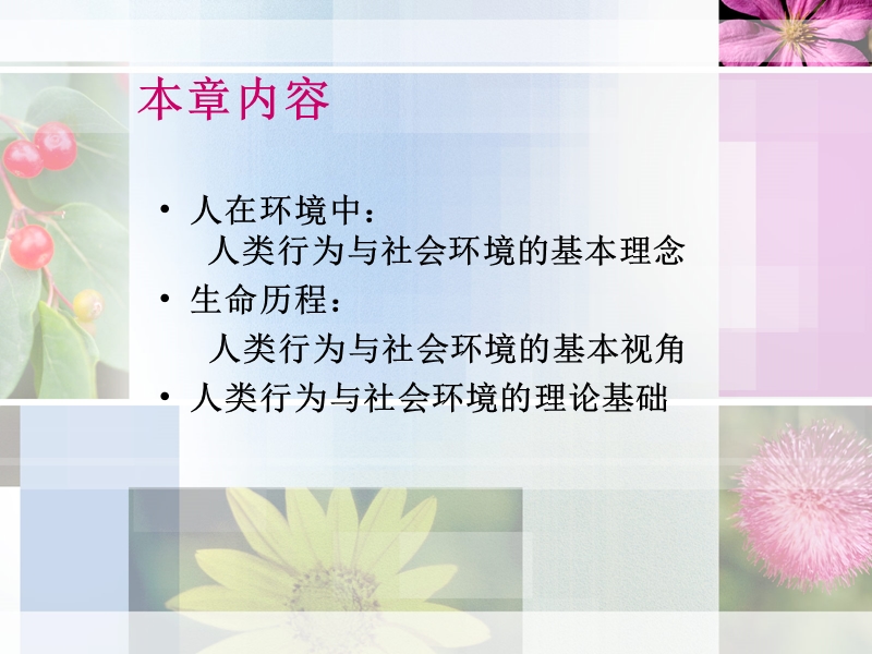 第一章-多维理论中的人类行为.ppt_第3页