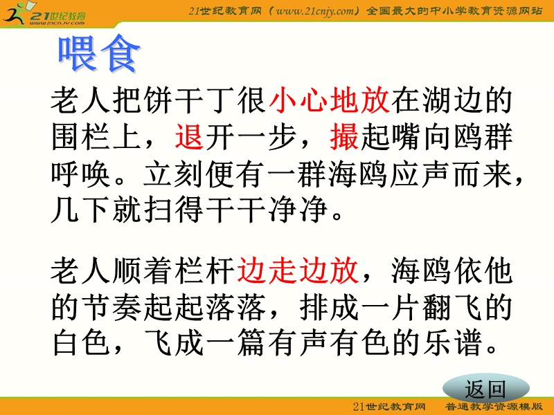 六年级语文上册课件(人教新课标)：-老人与海鸥.ppt_第3页