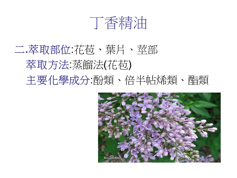 丁香精油报告  詹佩宜.ppt_第3页