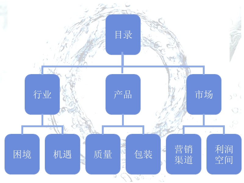 “天一”在天边西 藏水项目-(最终版).ppt_第3页