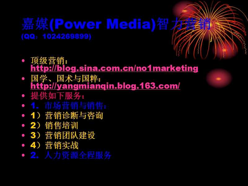 嘉媒(power-media)营销.ppt_第2页