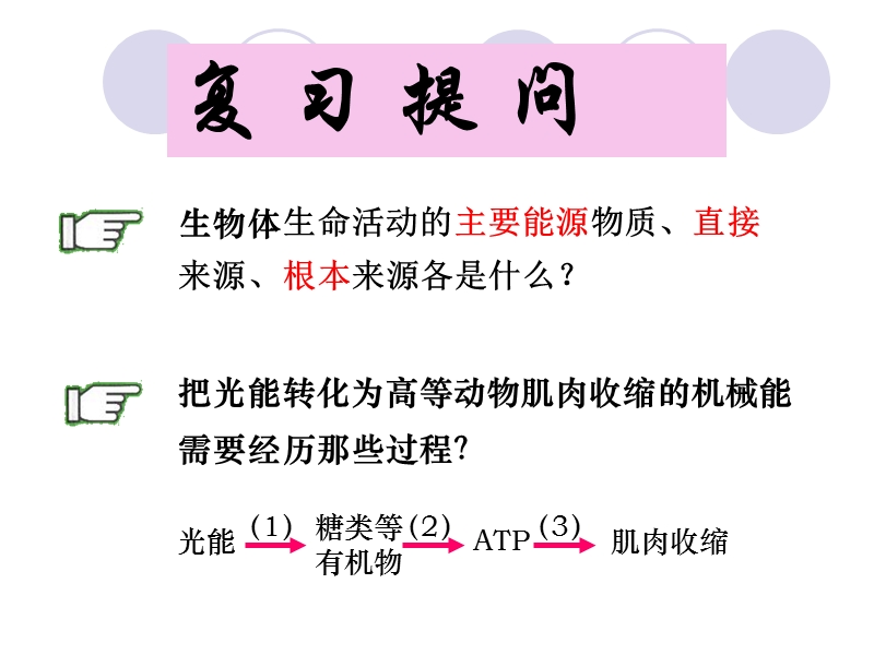 53-atp的主要来源——细胞呼吸.ppt_第2页